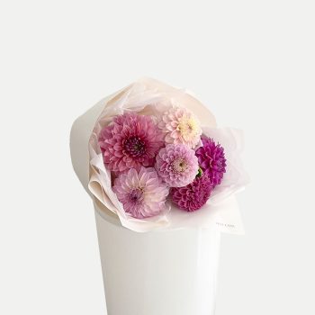 shop-florist-online-fresh-flowers-pink-locally-grown-dahlias-gold-coast