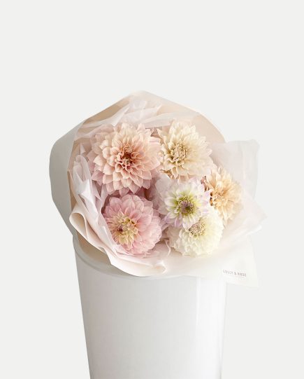 shop-florist-online-fresh-flowers-local-white-and-soft-peach-dahlias-on-the-gold-coast