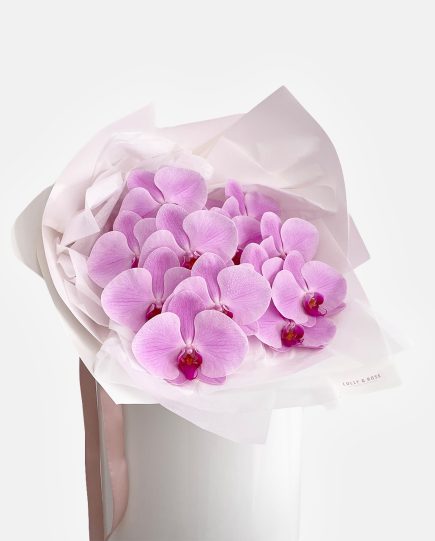 shop-florist-online-fresh-flowers-purple-cut-phalaenopsis-stem-orchid-gold-coast
