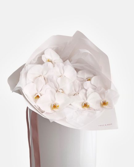 shop-florist-online-fresh-flowers-white-cut-phalaenopsis-stem-orchid-gold-coast