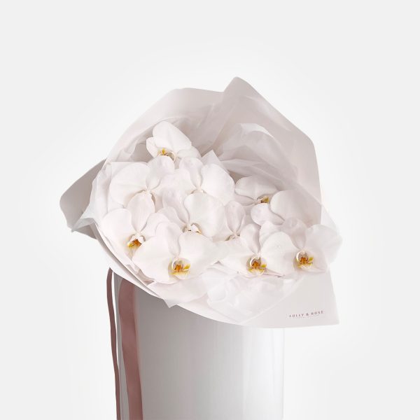 shop-florist-online-fresh-flowers-white-cut-phalaenopsis-stem-orchid-gold-coast