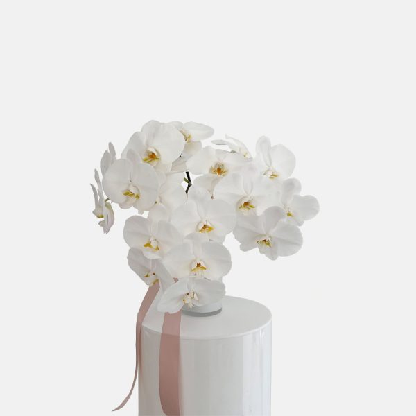 white phalaenopsis orchid stems arranged in a white marmoset glass vase for flower delivery in the Gold Coast