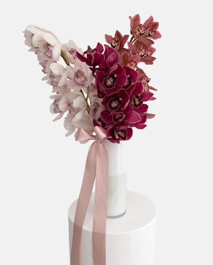 shop-florist-online-fresh-flowers-multi-toned-cut-cymbidium-stem-orchids-in-a-marmoset-vase