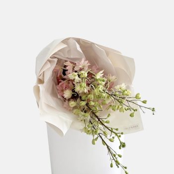 shop-florist-online-fresh-flowers-en-masse-bouquet-of-delphinium-flower-on-the-gold-coast