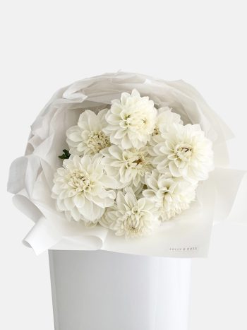 shop-florist-online-fresh-flowers-white-dahlias-en-masse-bouquet-on-the-gold-coast