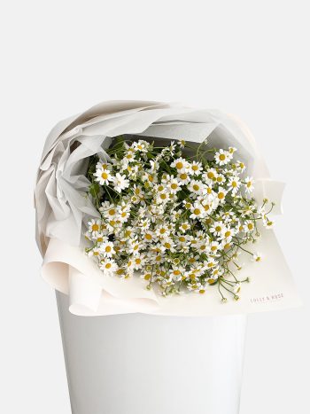 shop-florist-online-fresh-flowers-en-masse-chamomile-daisy-flower-on-a-stand-on-the-gold-coast