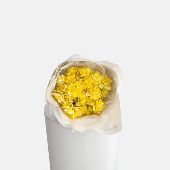 shop-florist-online-fresh-flowers-fragrant-&-sweet-yellow-daffodils-gold-coast