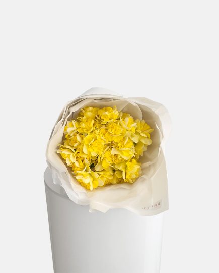 shop-florist-online-fresh-flowers-fragrant-&-sweet-yellow-daffodils-gold-coast