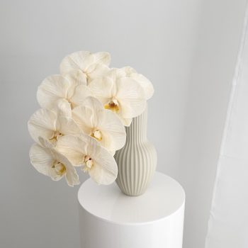 Mother’s-Day-flower-arrangements-Cut-Phalaenopsis-Stem-orchid-in-a-vase-Gold-Coast