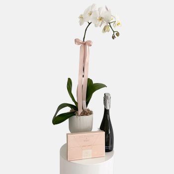 best-mother's-day-gift-ideas-gift-hampers-phally-love-white-orchid-plant-sparkling-wine-and-chocolates-gold-coast