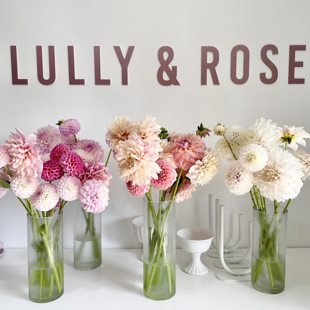 Locally grown Dahlias in peach and pink pastel tones from Gaven florist LULLY &amp; ROSE Gold Coast